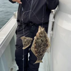 リトルワン 釣果