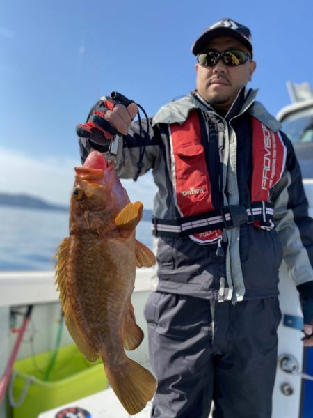 リトルワン 釣果