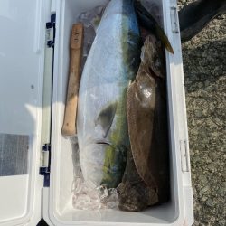 リトルワン 釣果