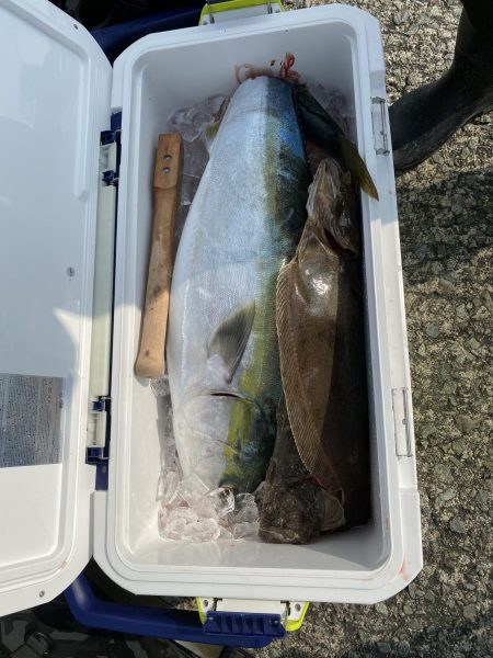 リトルワン 釣果