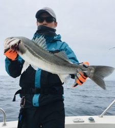 シーモンキー 釣果