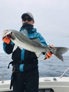 シーモンキー 釣果