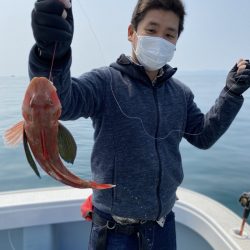 リトルワン 釣果