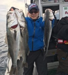 シーモンキー 釣果