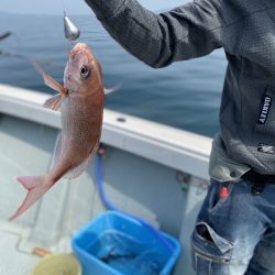 リトルワン 釣果