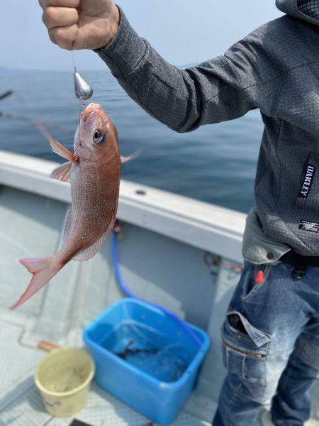 リトルワン 釣果