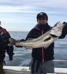 シーモンキー 釣果