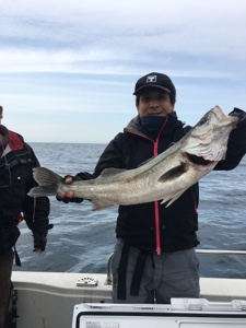 シーモンキー 釣果