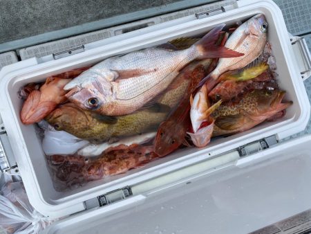 リトルワン 釣果