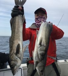 シーモンキー 釣果