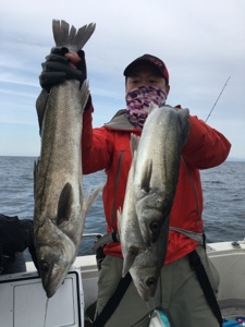 シーモンキー 釣果