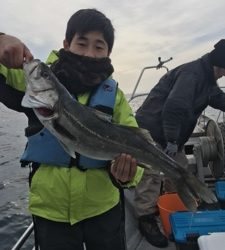 シーモンキー 釣果