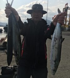 シーモンキー 釣果