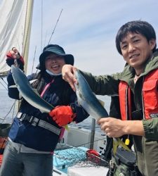 シーモンキー 釣果