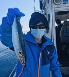 シーモンキー 釣果