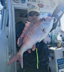 シーモンキー 釣果