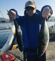 シーモンキー 釣果