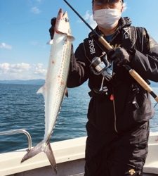 シーモンキー 釣果