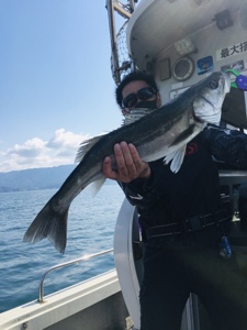 シーモンキー 釣果