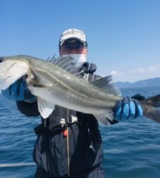 シーモンキー 釣果