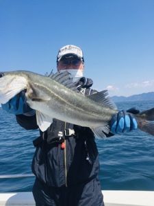 シーモンキー 釣果