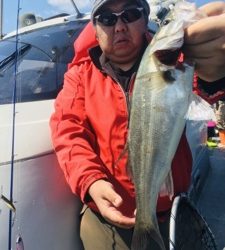 シーモンキー 釣果