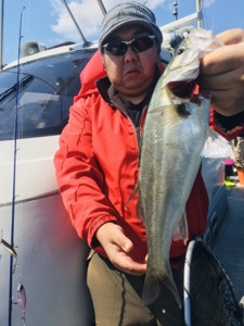 シーモンキー 釣果