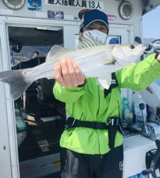 シーモンキー 釣果