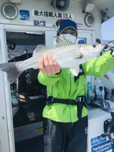 シーモンキー 釣果