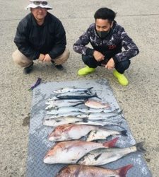 シーモンキー 釣果