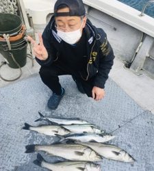 シーモンキー 釣果