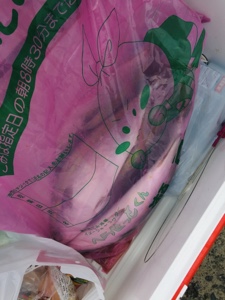 シーモンキー 釣果