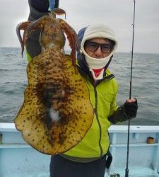 東京湾探釣隊ぼっち 釣果