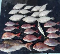 東京湾探釣隊ぼっち 釣果