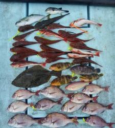 東京湾探釣隊ぼっち 釣果