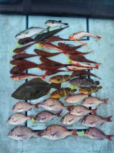 東京湾探釣隊ぼっち 釣果