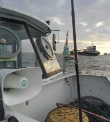 東京湾探釣隊ぼっち 釣果