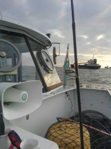 東京湾探釣隊ぼっち 釣果