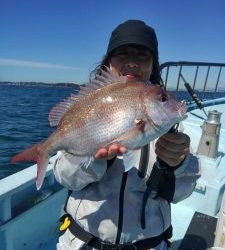 東京湾探釣隊ぼっち 釣果