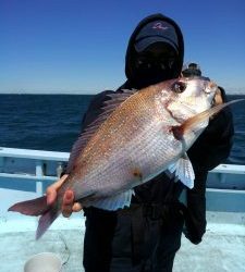 東京湾探釣隊ぼっち 釣果
