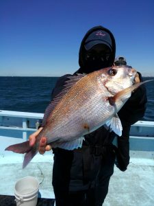 東京湾探釣隊ぼっち 釣果