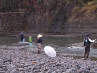 秩父フライフィールド 釣果