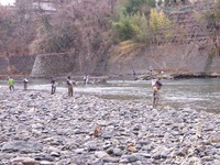 秩父フライフィールド 釣果