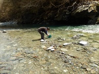 秩父フライフィールド 釣果