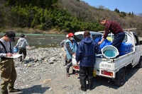 秩父フライフィールド 釣果