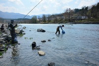 秩父フライフィールド 釣果