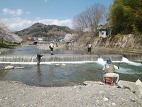 秩父フライフィールド 釣果
