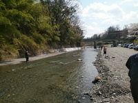 秩父フライフィールド 釣果