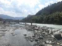 秩父フライフィールド 釣果