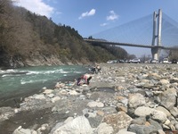 秩父フライフィールド 釣果